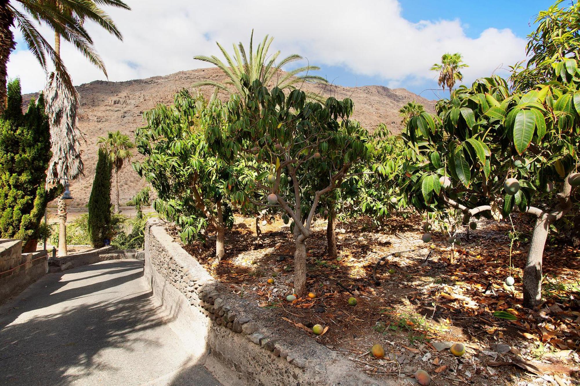 Mogán Casa Paraiso Del Molineroヴィラ エクステリア 写真